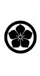 sample_06